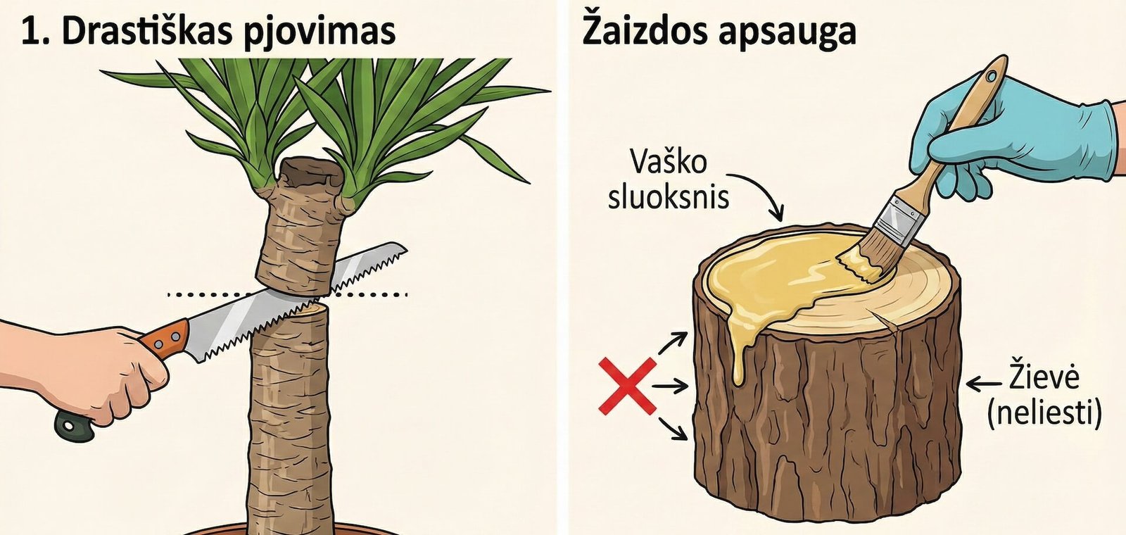 Jukos formavimas, 4 žingsniai į tankią ir gražią lają